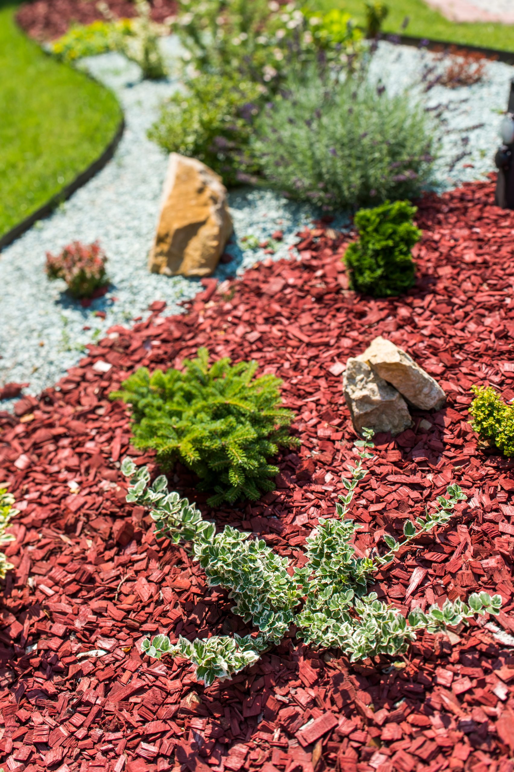 Beautiful flower bed with plants and red mulch
