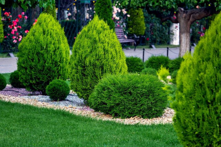 Learn about us today! From plant lovers to plant lovers.