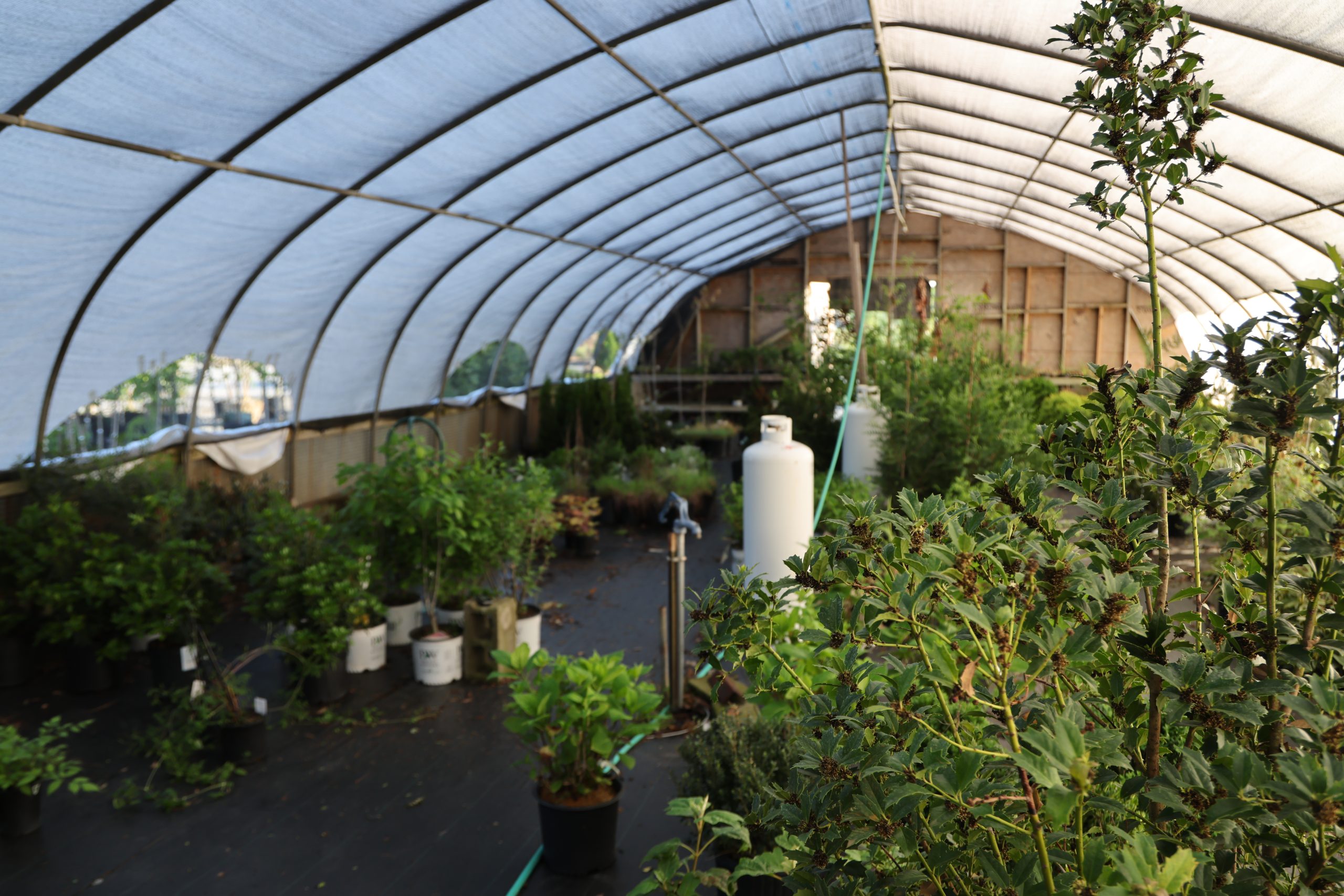 See Pack's Nursery Products for quality you will love.